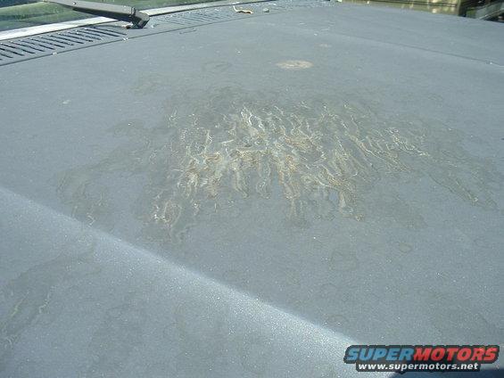 Vehicle hood with water stains and a windshield wiper