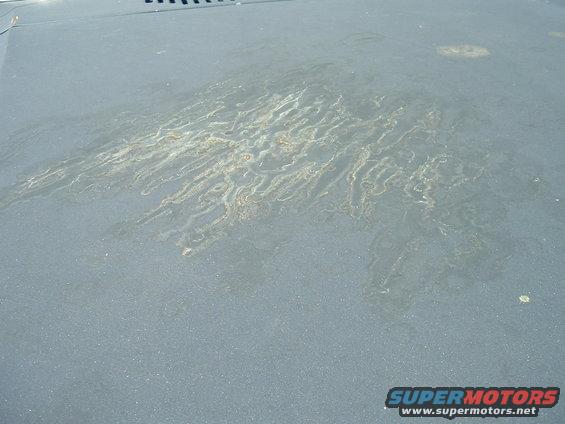 Gray vehicle hood with streaks of rust damage