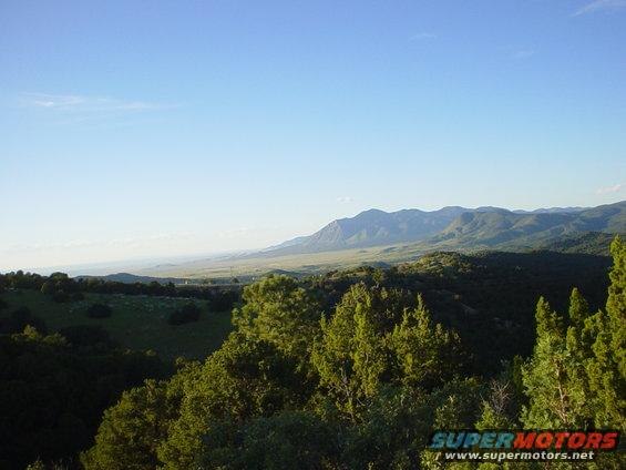 Mountain range under a clear blue sky, with foreground trees
