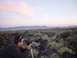 1981 Honda CB750 - A man films a vast, arid landscape with mountains under a pastel sky at dusk.
