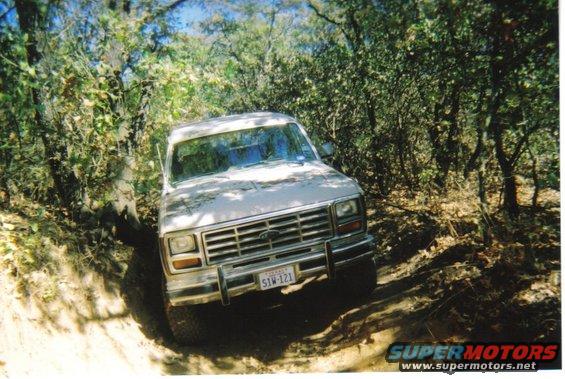 White Ford Bronco on a dirt path, front view, with trees and brush