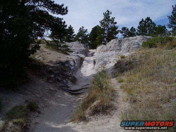 dans4x4-319.jpg 