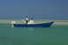 2006 Panga Fishing Boats 22