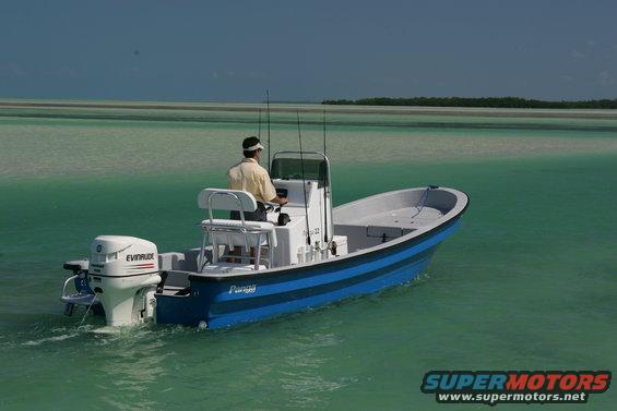 Blue and white Panga boat with an Evinrude outboard motor, viewed from the rear