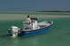 2006 Panga Fishing Boats 22
