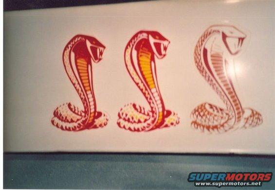 Three cobra snake decals on a light-colored surface