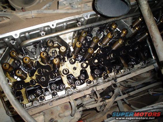 Engine valve train with oil, showing pushrods and springs