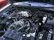 2004 Ford Mustang - The engine bay of a 2004 Ford Mustang is shown with the hood open, revealing the V8 engine components.