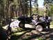1989 Ford Bronco - A black Jeep Wrangler TJ maneuvers over a large rock on a wooded trail.