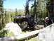 1989 Ford Bronco - Off-road vehicles navigate a rocky trail with a fallen log in the foreground.