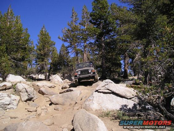 Gray Jeep Wrangler driving on a rocky, off-road trail with pine trees and a clear blue sky