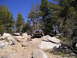 1989 Ford Bronco - A Jeep Wrangler navigates a challenging rocky path surrounded by tall pine trees under a bright blue sky.