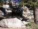 1989 Ford Bronco photo