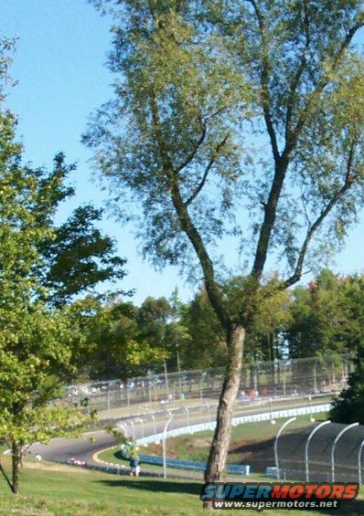 Race track with barriers and trees under a clear blue sky