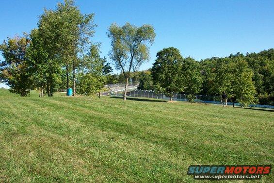 Grassy hill with trees and a blue barrel under a clear blue sky. A fence and road are visible in the background