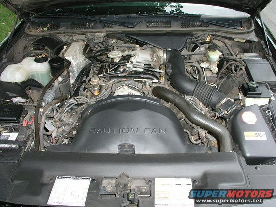 picture-013.jpg 