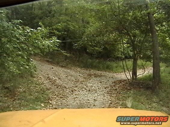 Orange vehicle hood in foreground, looking out at a gravel road leading into a wooded area
