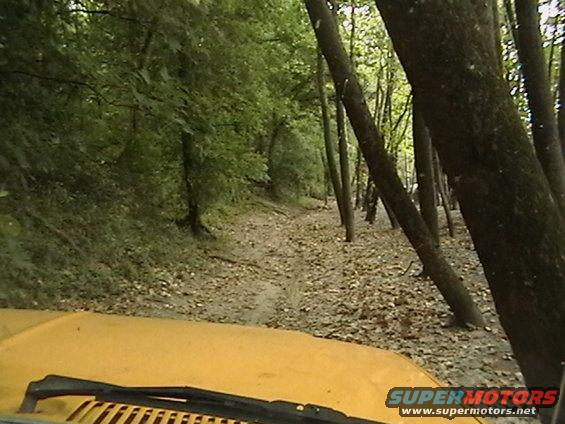 Yellow vehicle hood and windshield wipers on a muddy dirt road through a forest