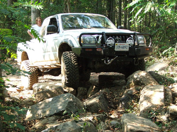 taco--in-the-rock-garden-day-1.jpg 