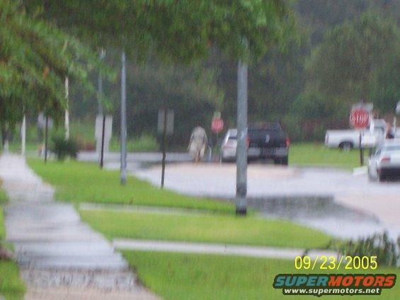 Street scene with a white pickup truck, a dark SUV, and a person walking in the rain