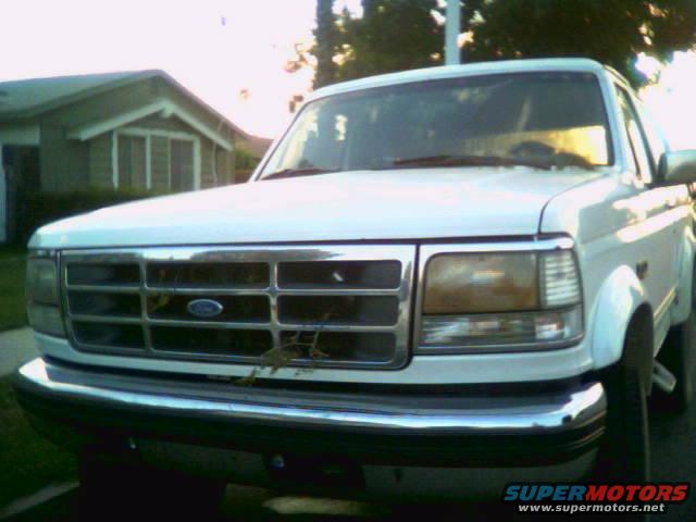 photo67.jpg Pucker bush carnage...