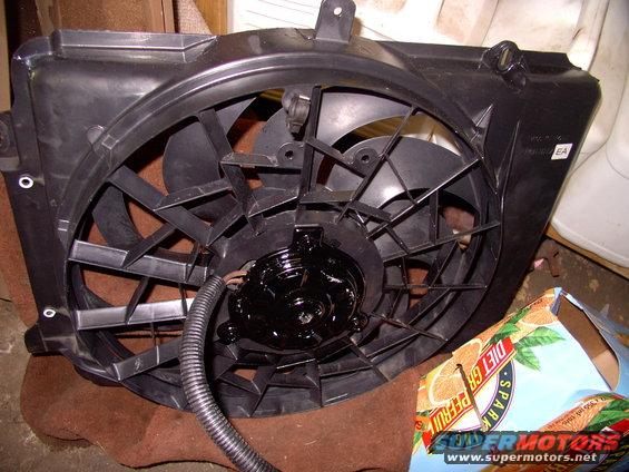 img_0113.jpg Nabbed a Taurus fan off a 3.8 litre Taurus because they flow more than enough air to cool a 5.8, let alone a stock 5.0 litre, like mine. Charge ? $40 Canadian
