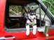 1985 Ford Bronco - Puppy enjoys the ride from the driver's seat of a red truck.