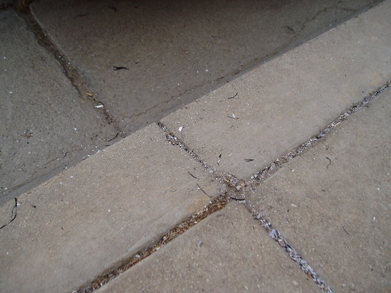Concrete pavement with visible cracks and debris