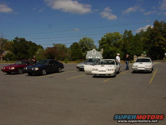 Four white 1986 Ford Mustangs parked in a lot, front view