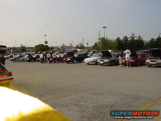 Many Ford Mustangs parked in a lot with hoods up, people milling around