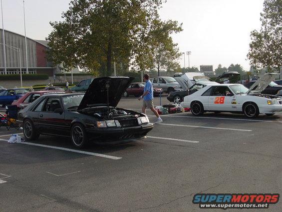 Black 1986 Ford Mustang with hood open, parked next to a white Mustang with number 28