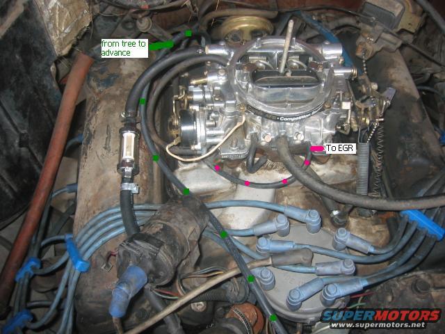 Engine bay showing carburetor, fuel filter, distributor cap, and spark plug wires. Labels point to 'from tree to advance' and 'To EGR'
