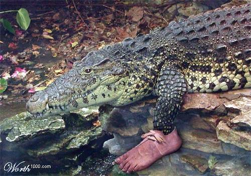 new-shoes.jpg New Shoes