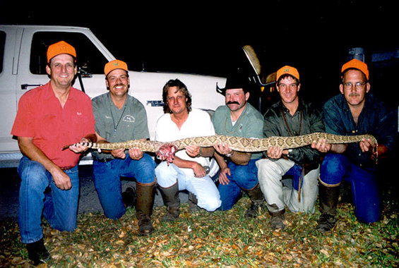 snake0201.jpg Texas Rattle Snake