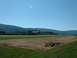 1978 Ford Mustang II - Airplane flying over a field with mountains in the distance.