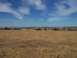 1994 Ford F-150 - A lone dark object is visible in a vast, dry, grassy landscape under a bright blue sky with scattered clouds. The Supermotors.net logo is i…