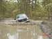 2005 Dodge 1500 - A gray Ford F-Series truck is stuck in a muddy, wooded area, with water covering the front of the vehicle.