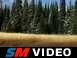 Video of the mud hole on the trail.  Friend's wife cut my shot short, but oh well