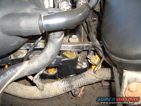 Close-up of engine wiring harness and ignition coil