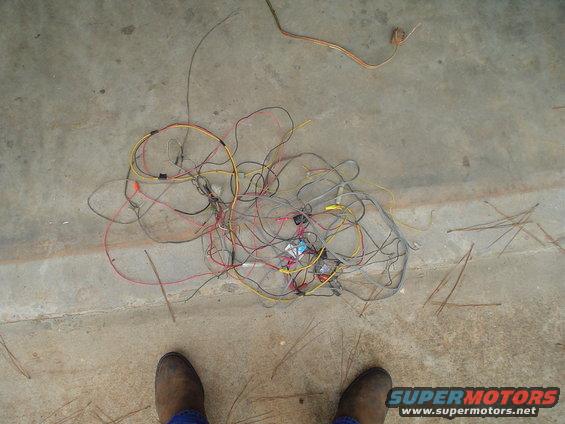 Tangled electrical wiring harness on concrete floor with pine needles and two boots visible
