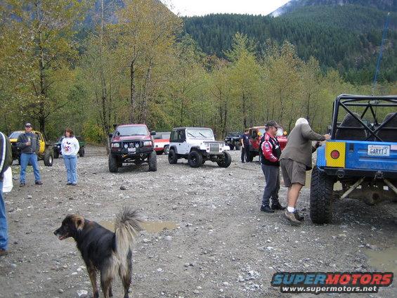 Off-road vehicles gathered in a wooded area with people and a dog