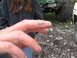 1990 Ford Bronco - A close-up of a person's hand is in the foreground, with two off-road vehicles in the background.