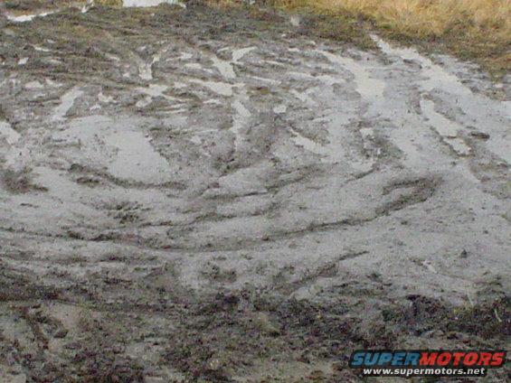the base of the hill that I slid down sideways on the way down.