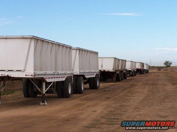 Row of white semi-trailers parked on a dirt road under a blue sky