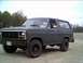 1981 Ford Bronco - I love my ride