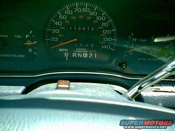speedo.jpg 