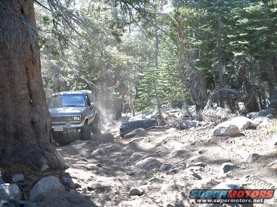 Dark SUV kicking up dust on a rough, rocky trail through a forest