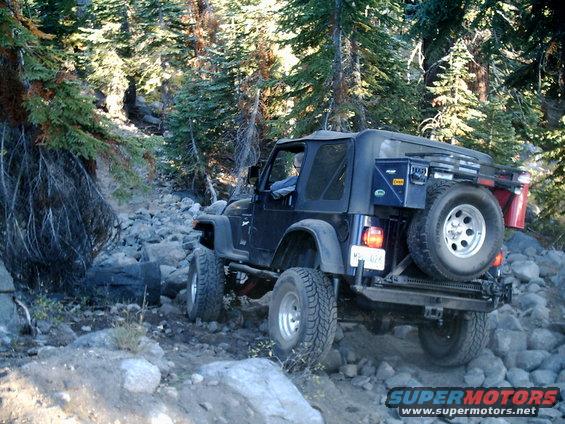 Dark blue Jeep Wrangler with spare tire on back, navigating a rocky forest trail
