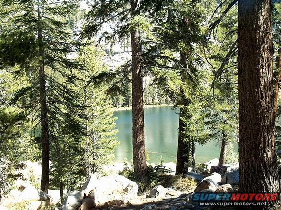 Trees and a lake under a bright sky