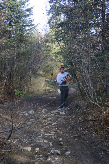 Man holding a yellow chainsaw on a wooded dirt path